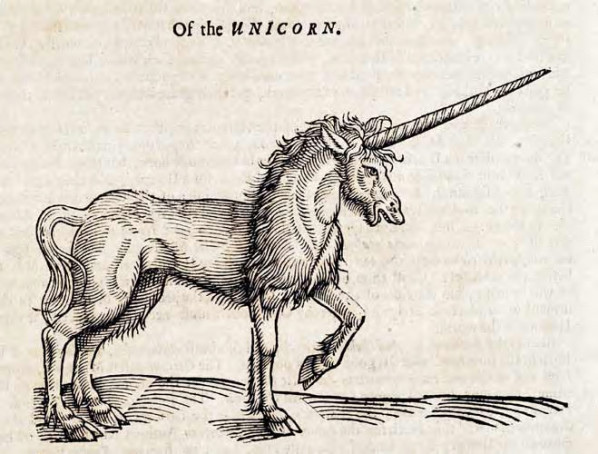Of the unicorn handdrawn unicorn on faded paper
