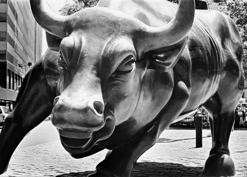 Black and white wall street bull